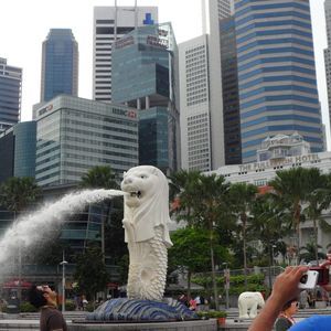 Meet your Posher, Tong